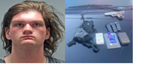 19-year-old arrested for allegedly stealing firearms from Carson City home - Vimarsana News