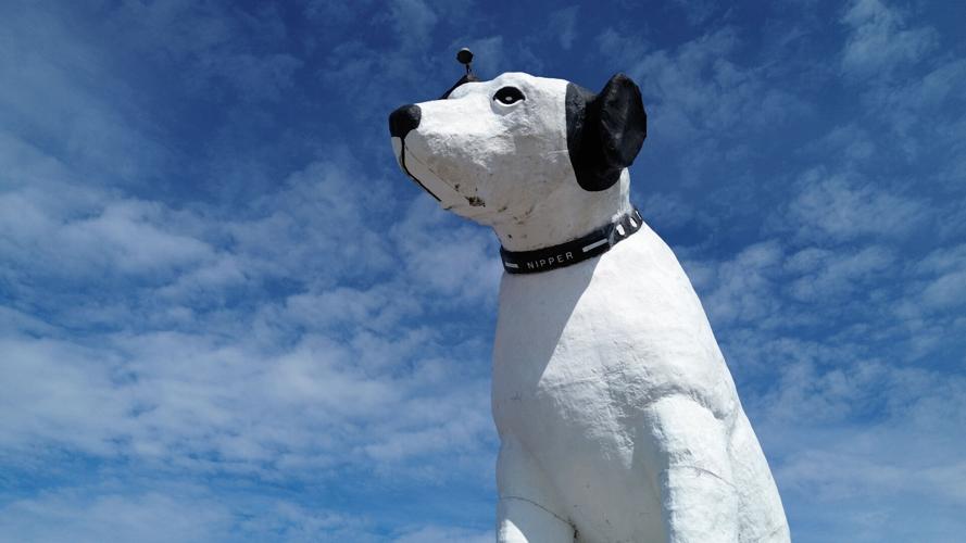 Giant Dog Statue