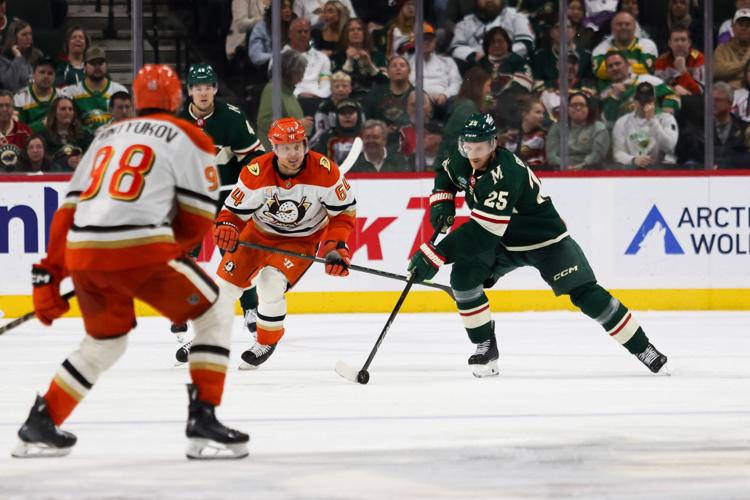 Ducks Wild Hockey