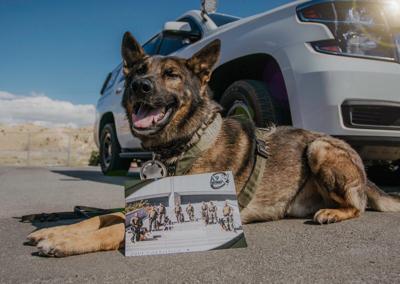 Washoe County Sheriff's Selling K9 Calendars