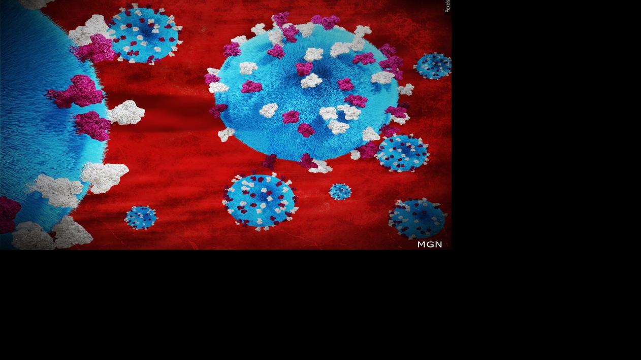 Measles Virus