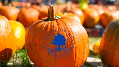 Fallon Fall season