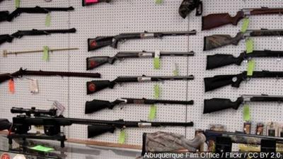 House Panel Wants More Details on Gun Dealers