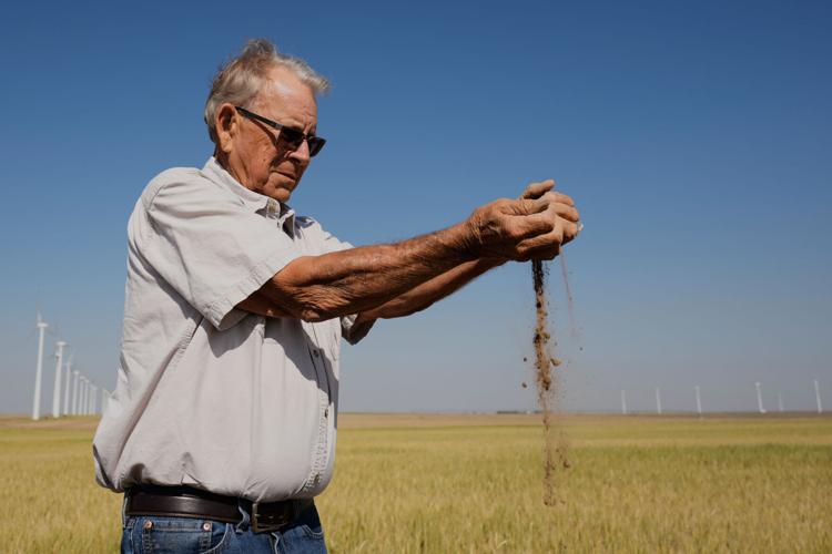 Climate Drought Wheat Farmers