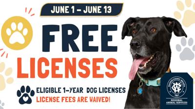 Free Dog License for limited time for eligible dogs in Washoe County .jpg