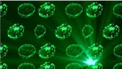 Fight Against Malaria Could be Set Back 20 Years, WHO Warns