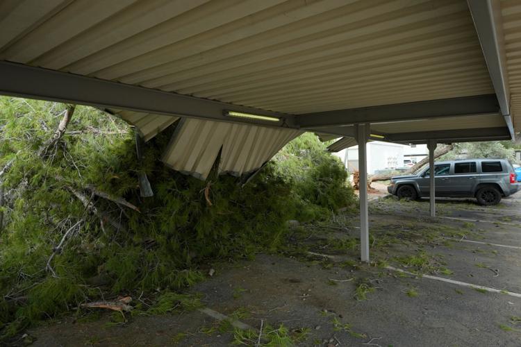Extreme Weather Arizona