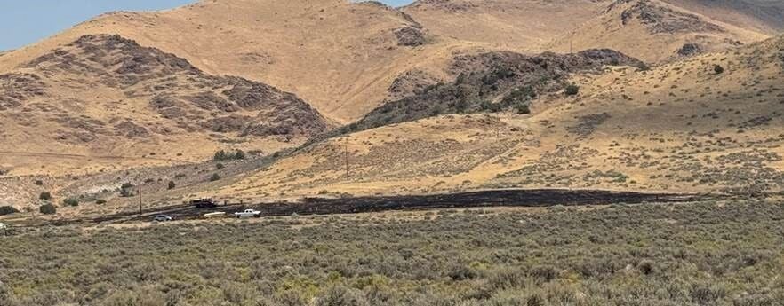 Ironwood burn scar