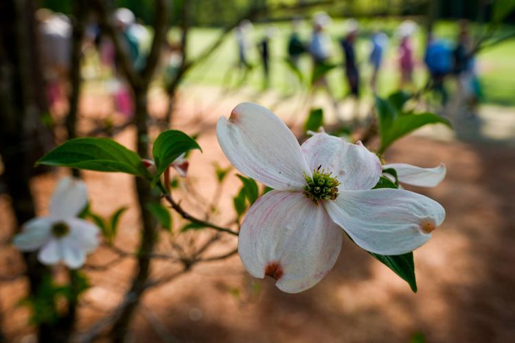 Masters Flowers Golf