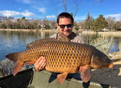 Reno Man Catches Giant Carp Fish at Virginia Lake
