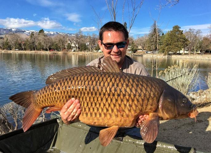Reno Man Catches Giant Carp Fish at Virginia Lake