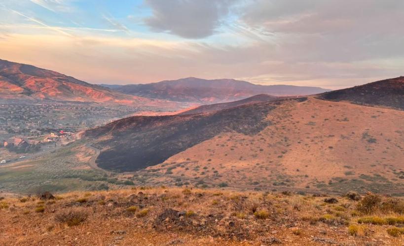 Hawk Fire, charred land