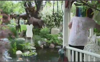 Reno's Backyard Paradises