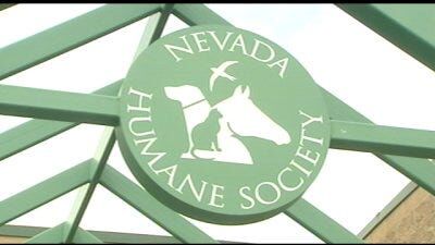 Nevada Humane Society, Carson City Animal Services Partnership Announced