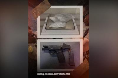 Washoe County guns