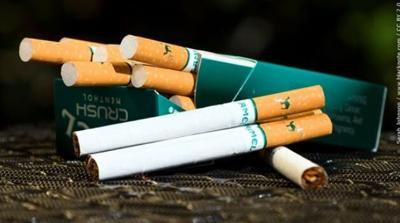 Menthol cigarettes