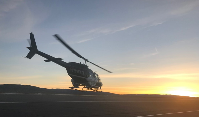 washoe life mosquito.png