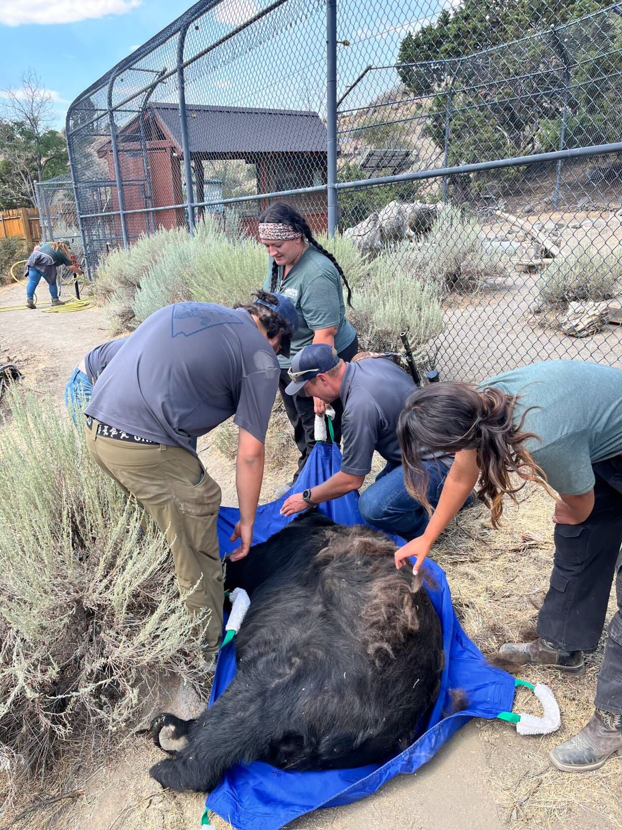 NDOW assists with Animal Ark evacuation during wildfires