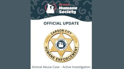 Carson City Animal Abuse Investigation