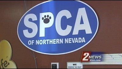 Two Free Rabies Vaccination and Microchipping Clinics This Week