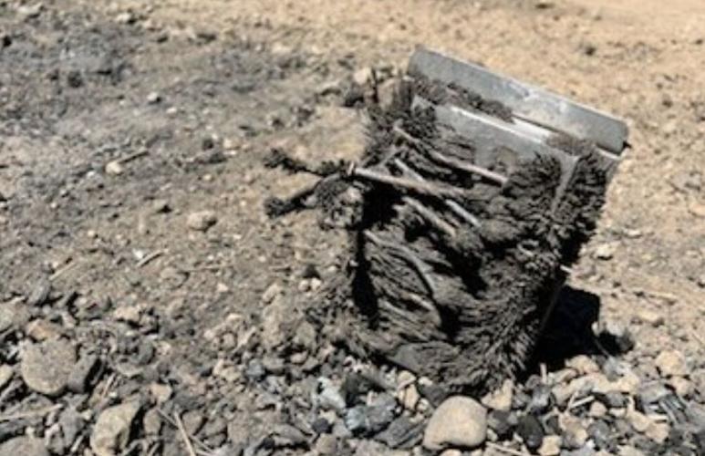 LTMBU Bonfire Main.JPG