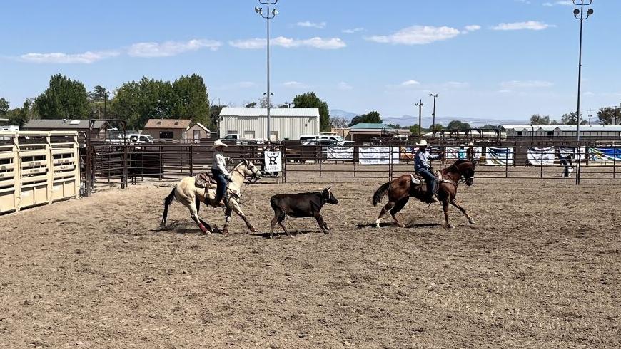 Fallon Jr Rodeo 1