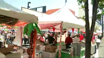35th Annual Great Italian Festival