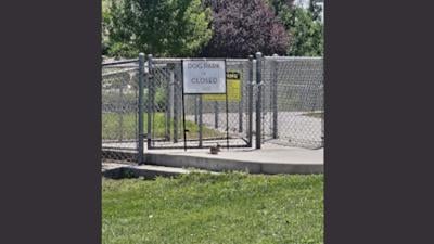 Dog park Closed sign at Spark Marina .jpg