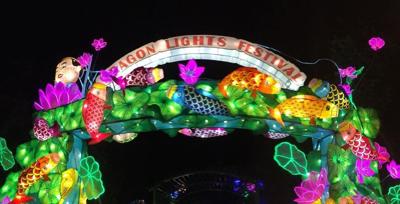 Dragon Lights Festival