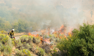 Massive South Sugarloaf Fire Near Owyhee Nears Full Containment