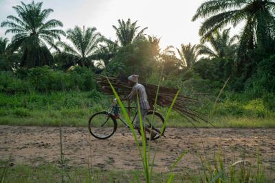 Congo Attacks