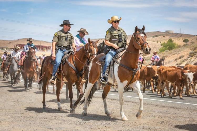 WCSOCattleDrive2.jpg