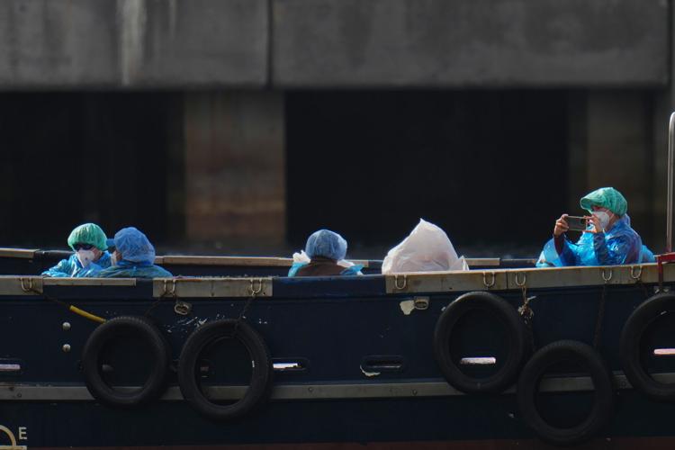 Spain Hantavirus Ship