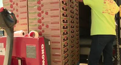 Growing Produce To Help Those in Need