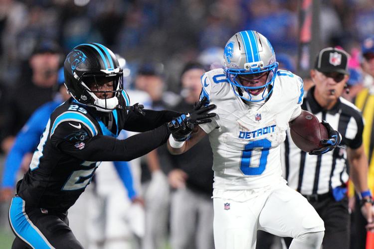 Lions Panthers Football