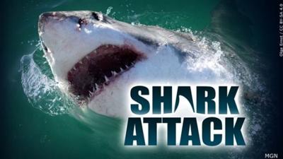 Shark Attack