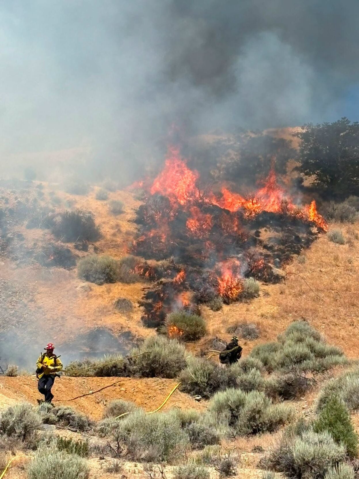 fire in gold hill