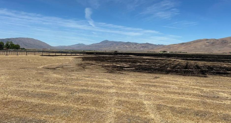 Palomino Valley fire