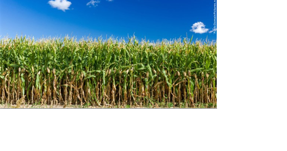 NRCS Nevada accepting applications for programs to assist with conservation and agricultural operations - Vimarsana News