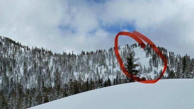 Sierra Avalanche Center Pic 4.jpg