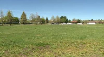 Washoe County's Park Maintenance Problems
