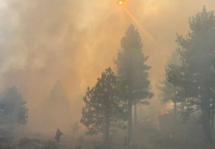 Prescribed burns, Dog Valley area