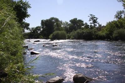 A fish out of water: can being near a river cool you down?