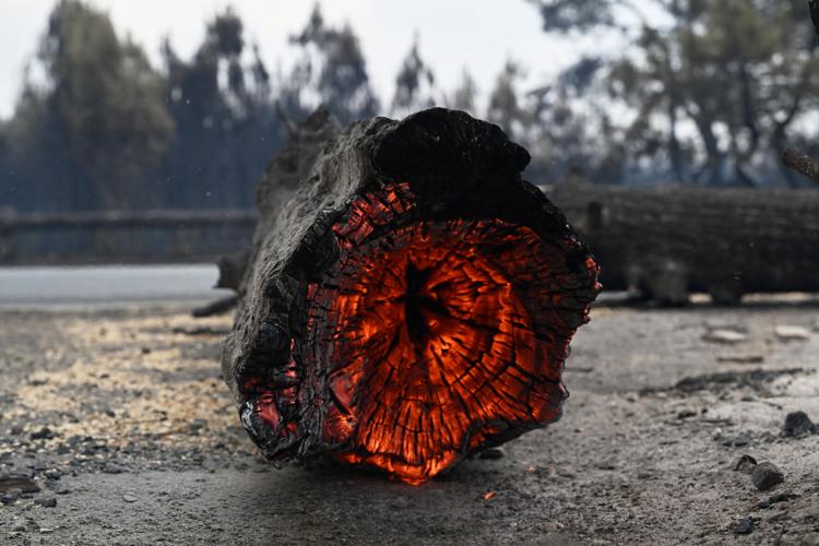 France Wildfires