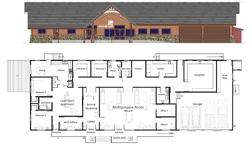 Lake Tahoe Wildlife Care