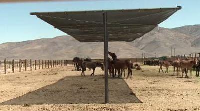 Palomino Valley Wild Horse Facility Tests Shade Structures