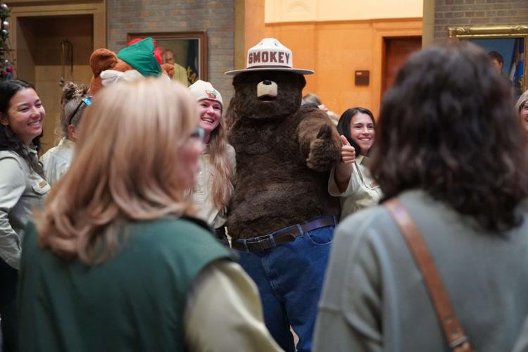 U.S. Capitol Christmas Tree 4.jpg