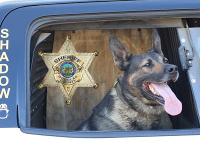 Douglas County Sheriff's Office K9 Retires After Seven Years of Service