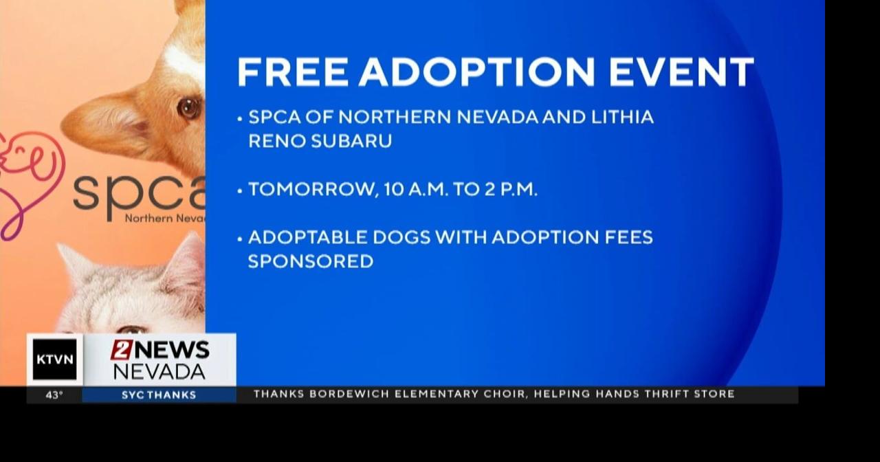 Final SPCA free pet adoption event of 2024 | Local News | 2news.com