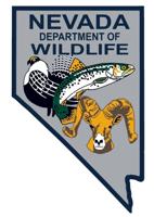 Man Faces DUI Charge After Fatal Boat Collision Near Laughlin